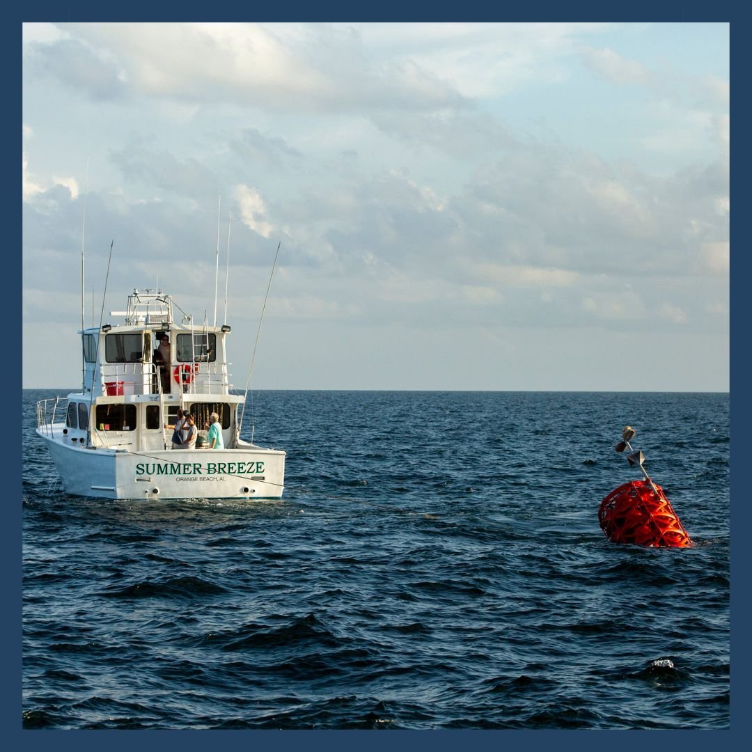 Four Tactics for Fishing the Okaloosa County FAD Network – SORD Fishing ...