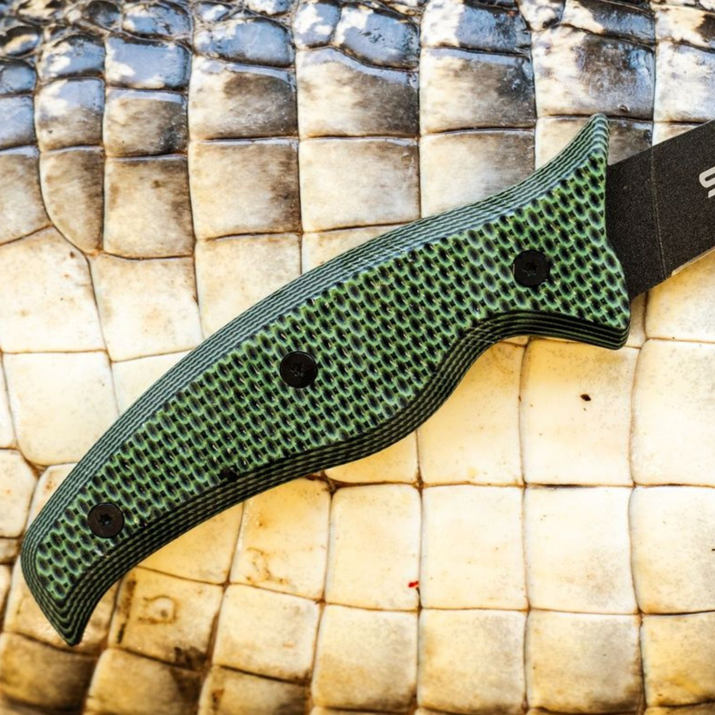 DARKSCALE KNIFE PREVIEW – SORD Fishing Products
